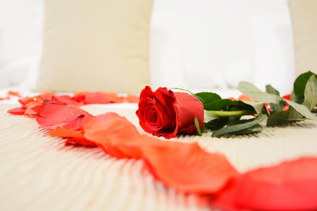 La Pasajera Hostal Boutique โกนิล เด ลาฟรอนเตรา ภายนอก รูปภาพ